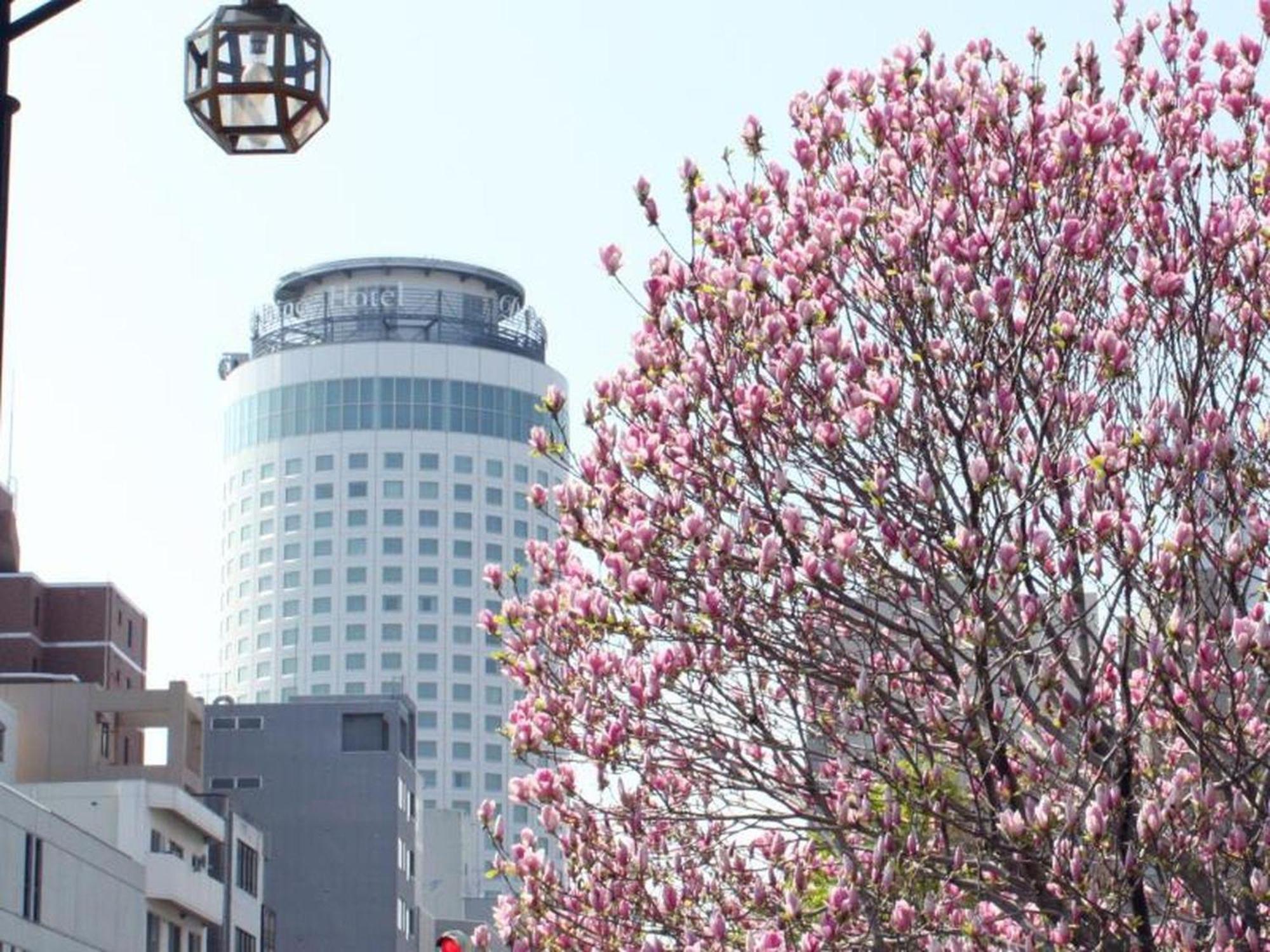 Sapporo Prince Hotel Zewnętrze zdjęcie